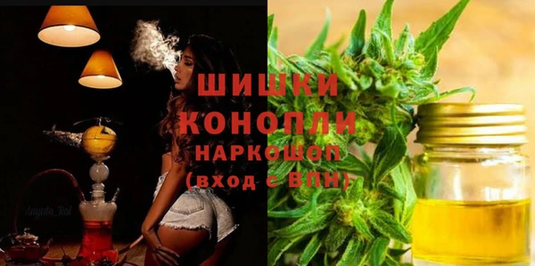 прущий лед Арсеньев
