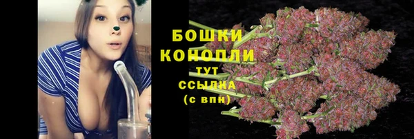 apvp Аркадак