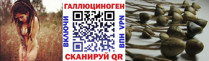 Галлюциногенные грибы прущие грибы  купить наркотик  Сосновка 